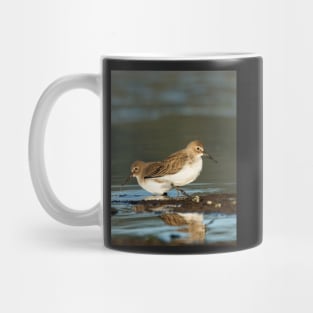 Dunlin Double Mug